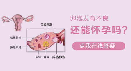 女性卵泡监测的方法有哪些?
