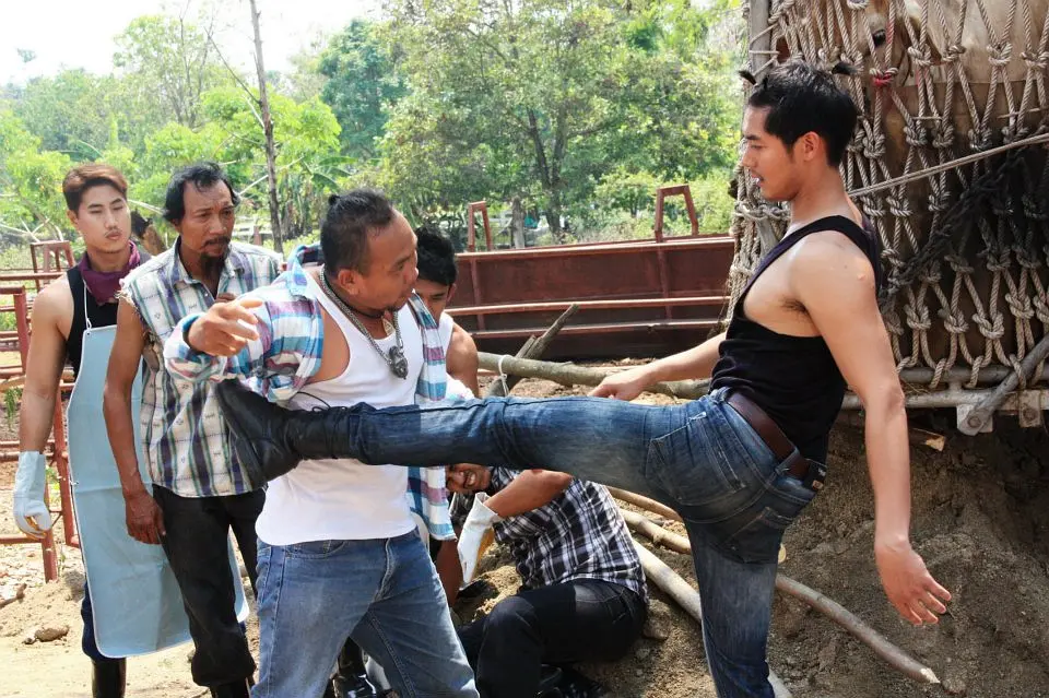 偷心俏冤家第9集剧照